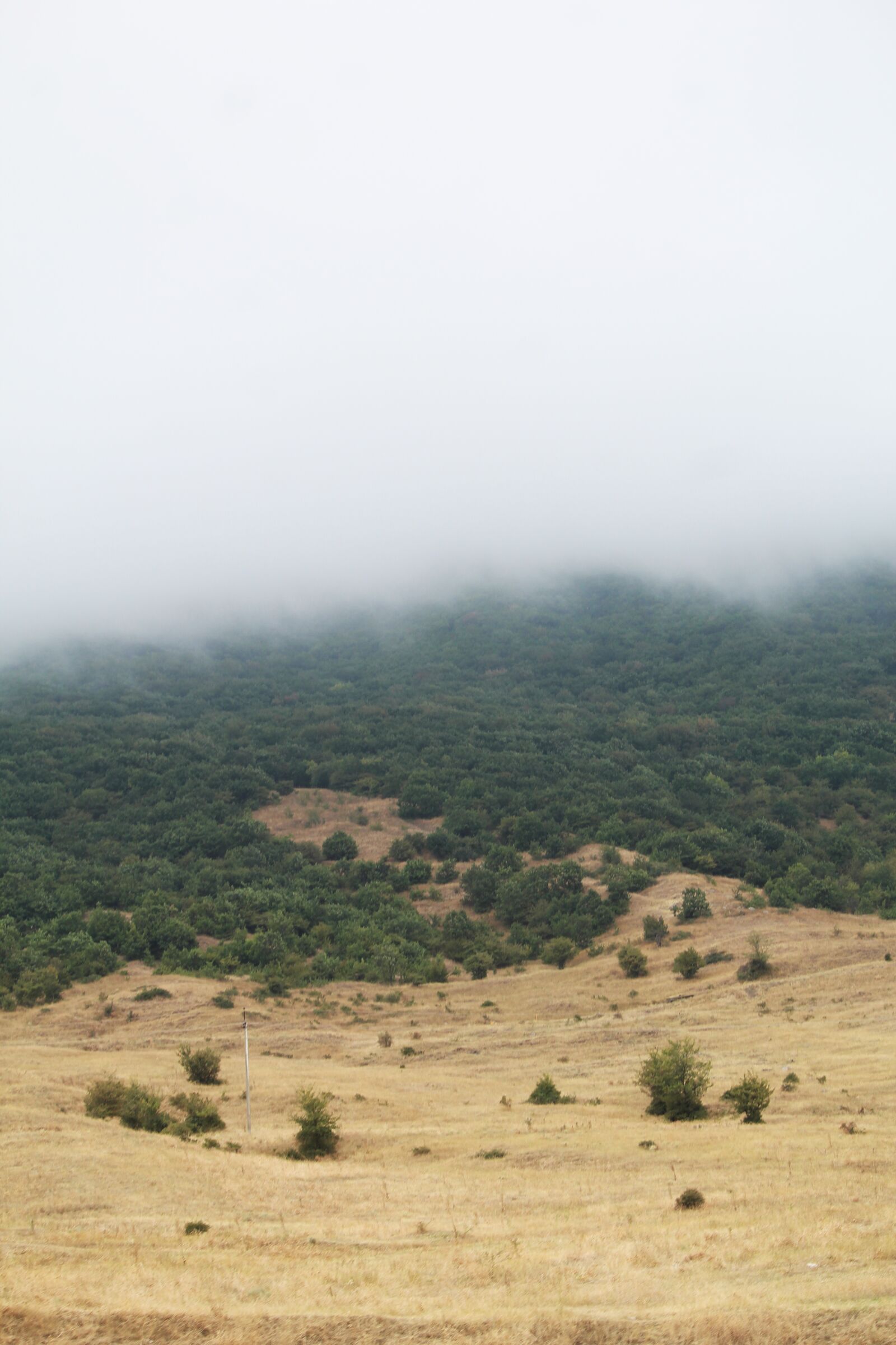 Canon EOS 1200D (EOS Rebel T5 / EOS Kiss X70 / EOS Hi) sample photo. Fog, mountains, landscape photography