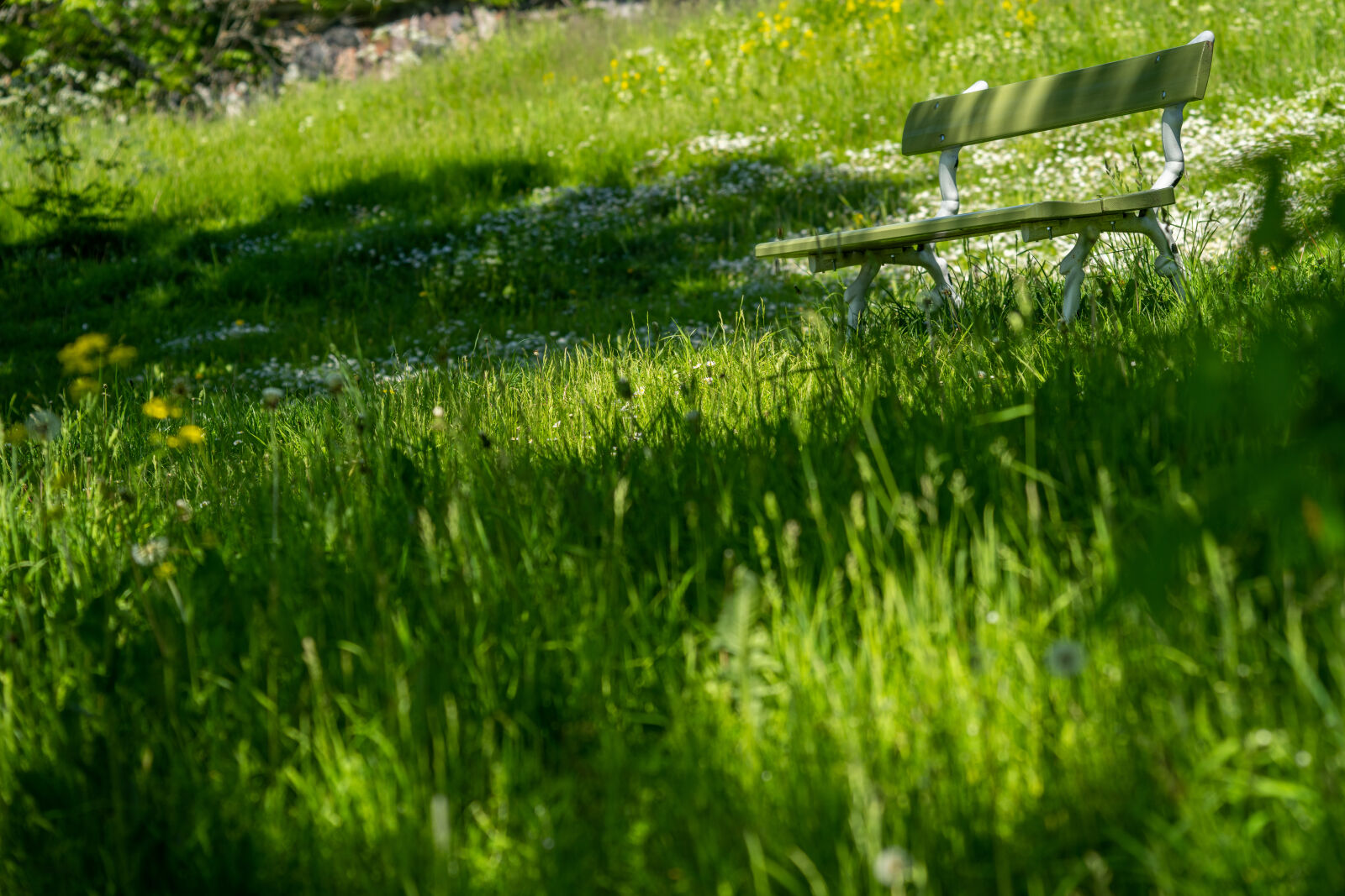 Sony a7R IV sample photo. Park bench next to photography