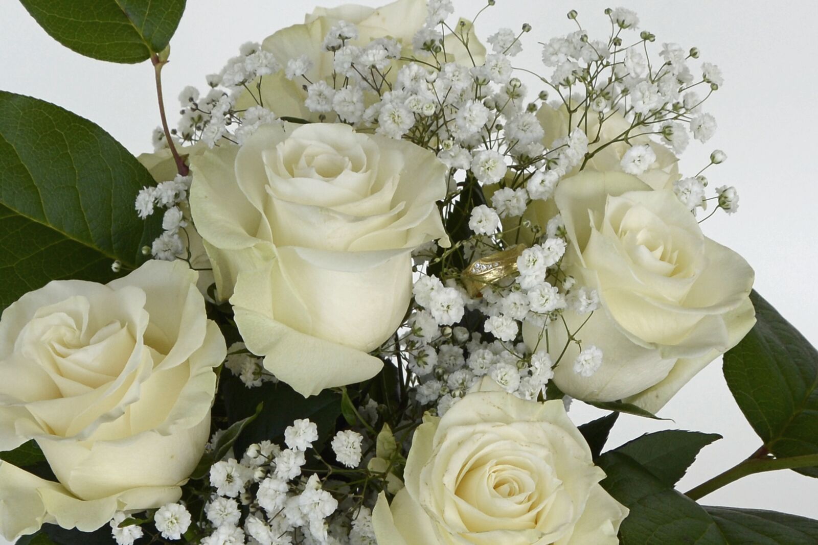 Nikon D7100 sample photo. Roses, rose flower, flowers photography