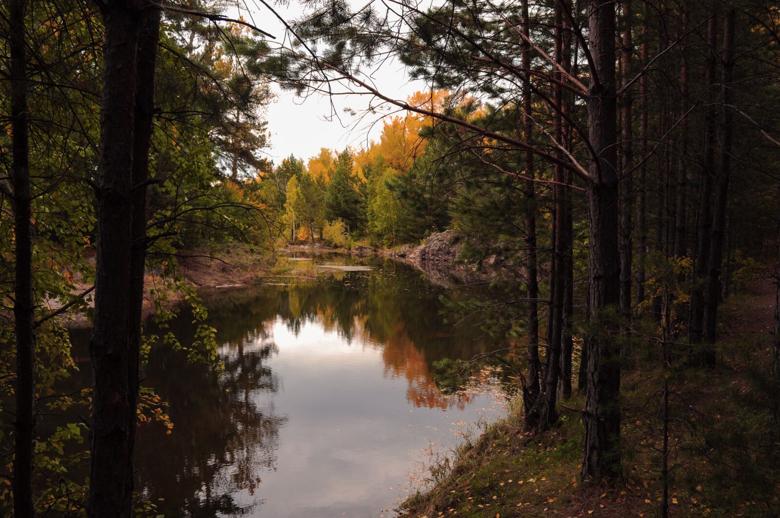 Nikon D5000 sample photo. Autumn, landscape, forest photography
