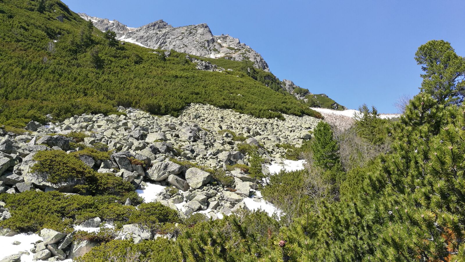 HUAWEI P9 sample photo. Vysoké tatry, nature, tatry photography