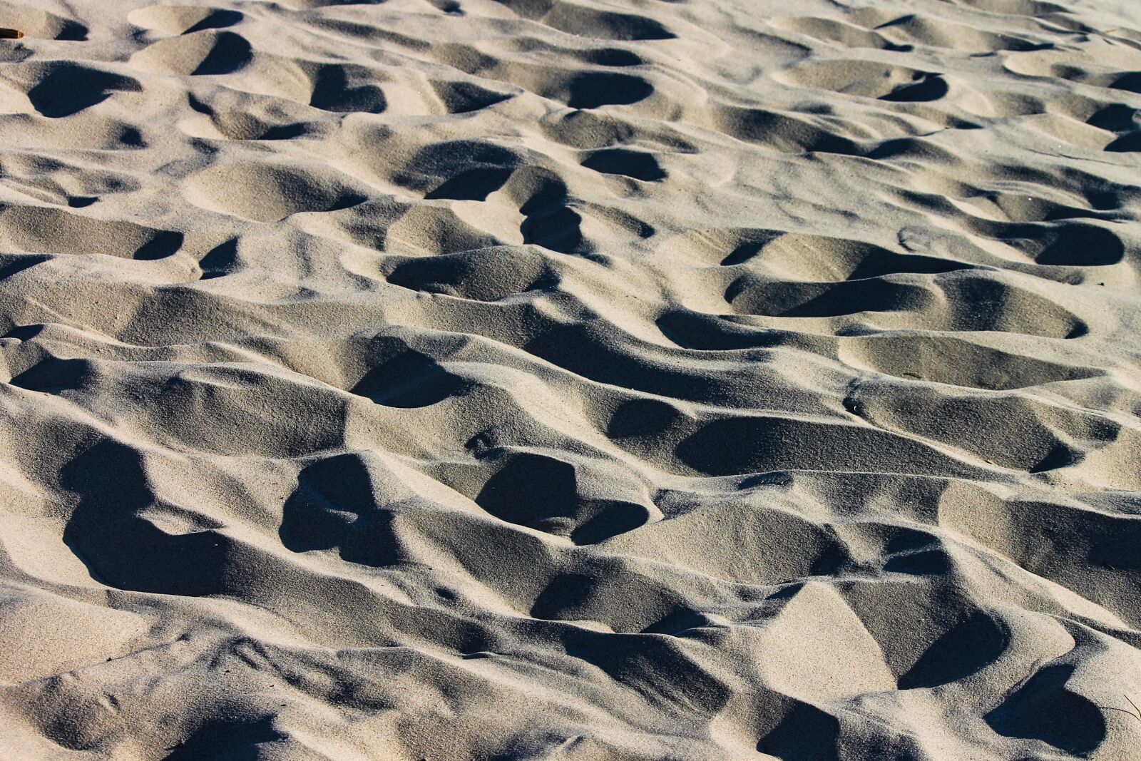 Canon EOS 1100D (EOS Rebel T3 / EOS Kiss X50) sample photo. Sand, beach, grains of photography