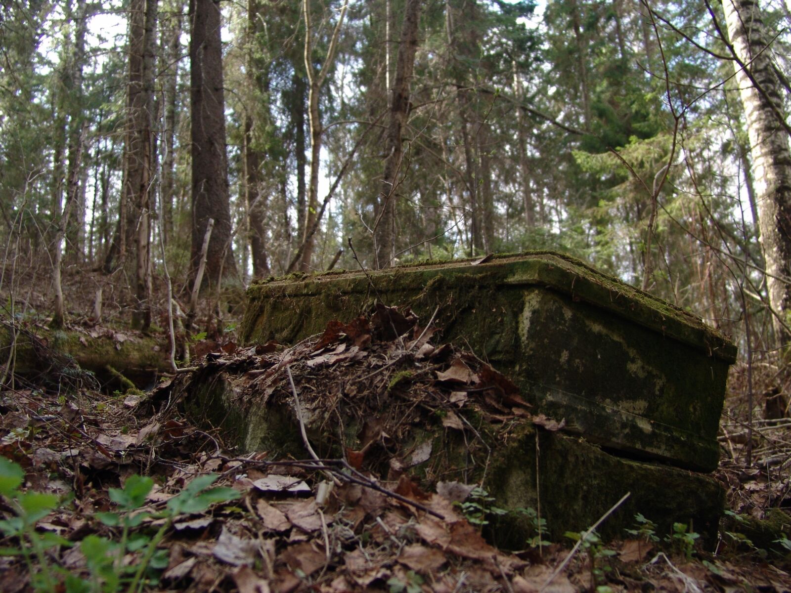 Sony DSC-F828 sample photo. The ruins of the photography