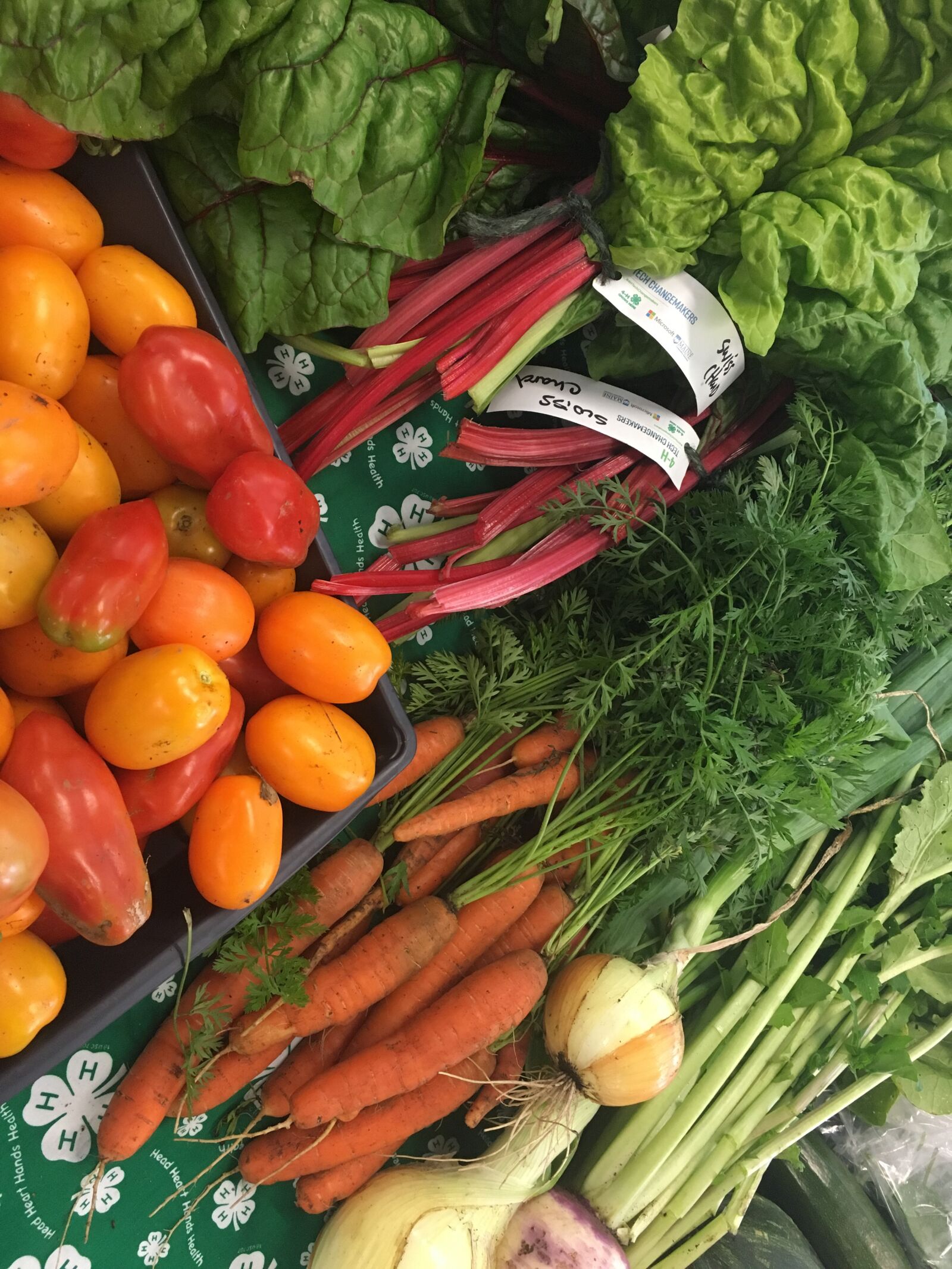 Apple iPhone 6s sample photo. Fresh vegetables, garden, vegetables photography