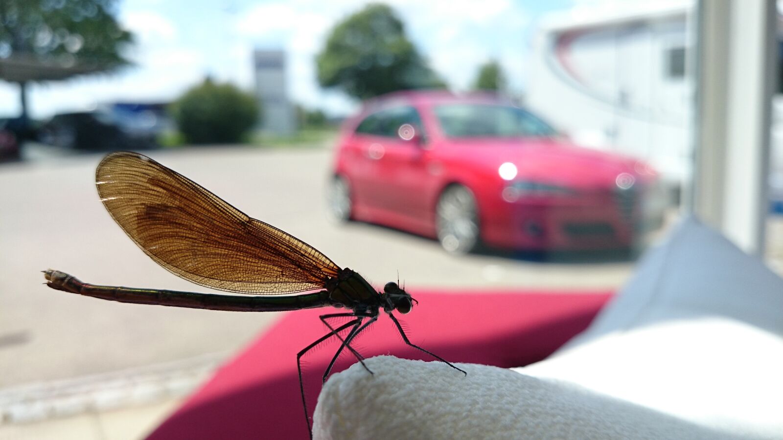 Sony Xperia Z1 sample photo. Macro, dragonfly, close up photography