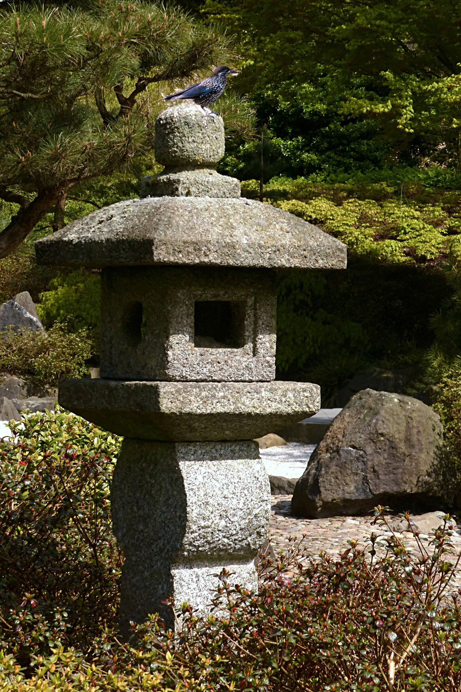 Panasonic Lumix DMC-FZ200 sample photo. Stone lamp, japanese lantern photography