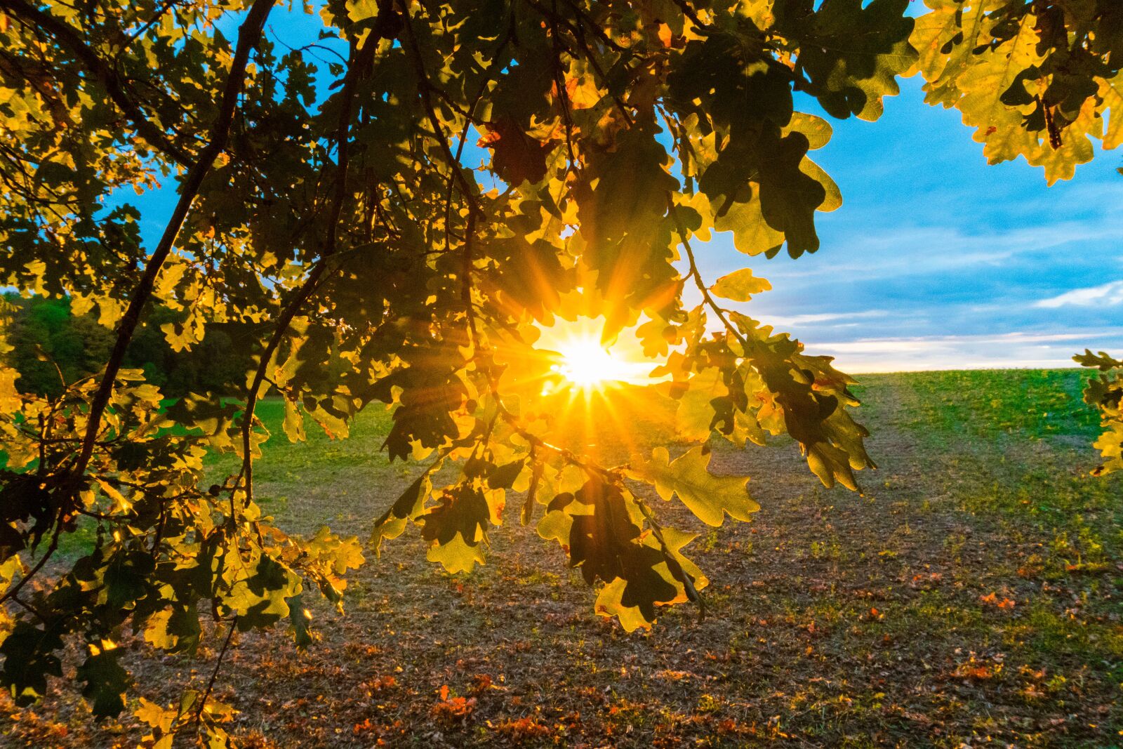 Sony E 16-50mm F3.5-5.6 PZ OSS sample photo. Sunset, sun, landscape photography