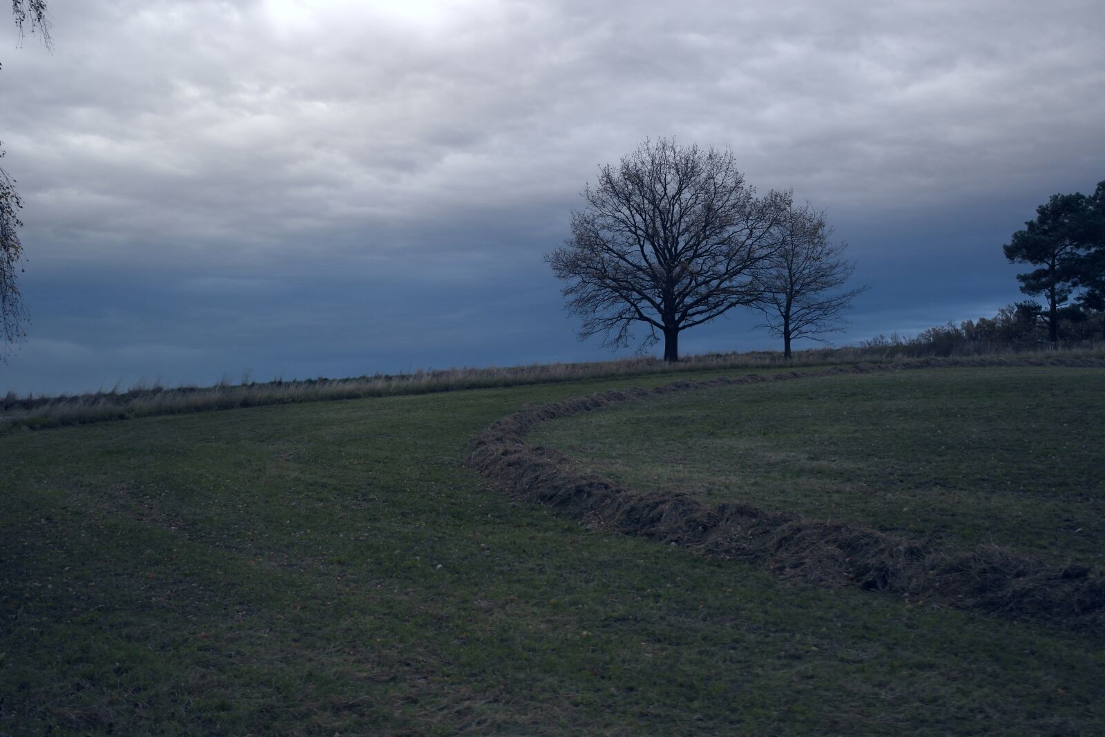 Samsung NX1000 sample photo. Tree, storm, clouds photography