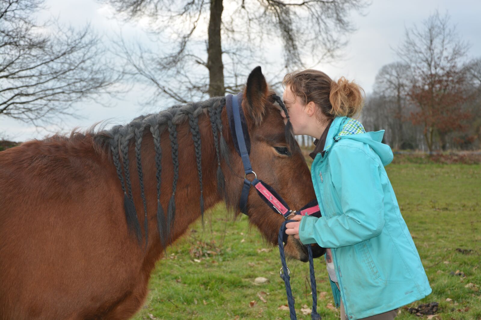 Nikon D5200 sample photo. Kiss, horse, girl photography