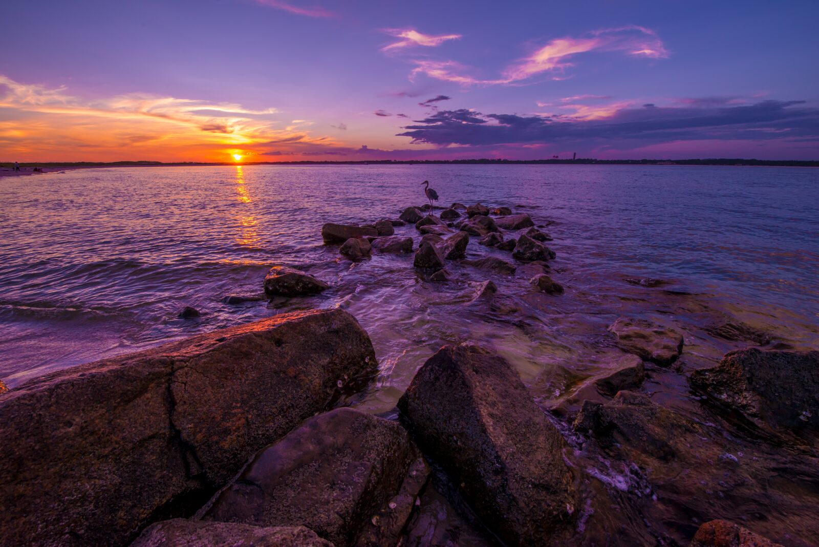 Nikon D800 sample photo. Beach, gulf coast, florida photography