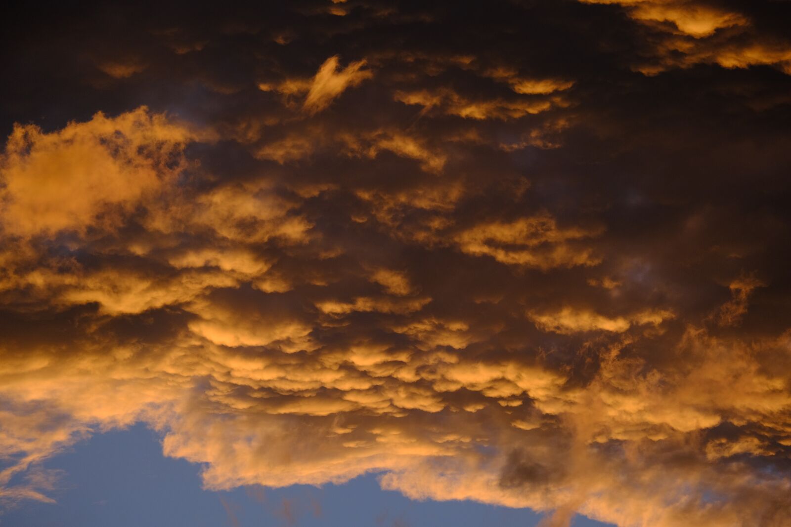 Fujifilm X-T3 sample photo. Clouds, mammatus, sunset photography