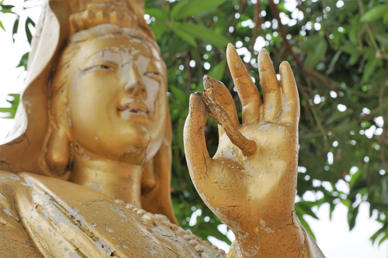 Sony ILCA-77M2 + Sony DT 16-50mm F2.8 SSM sample photo. Sculpture, gold, buddha photography