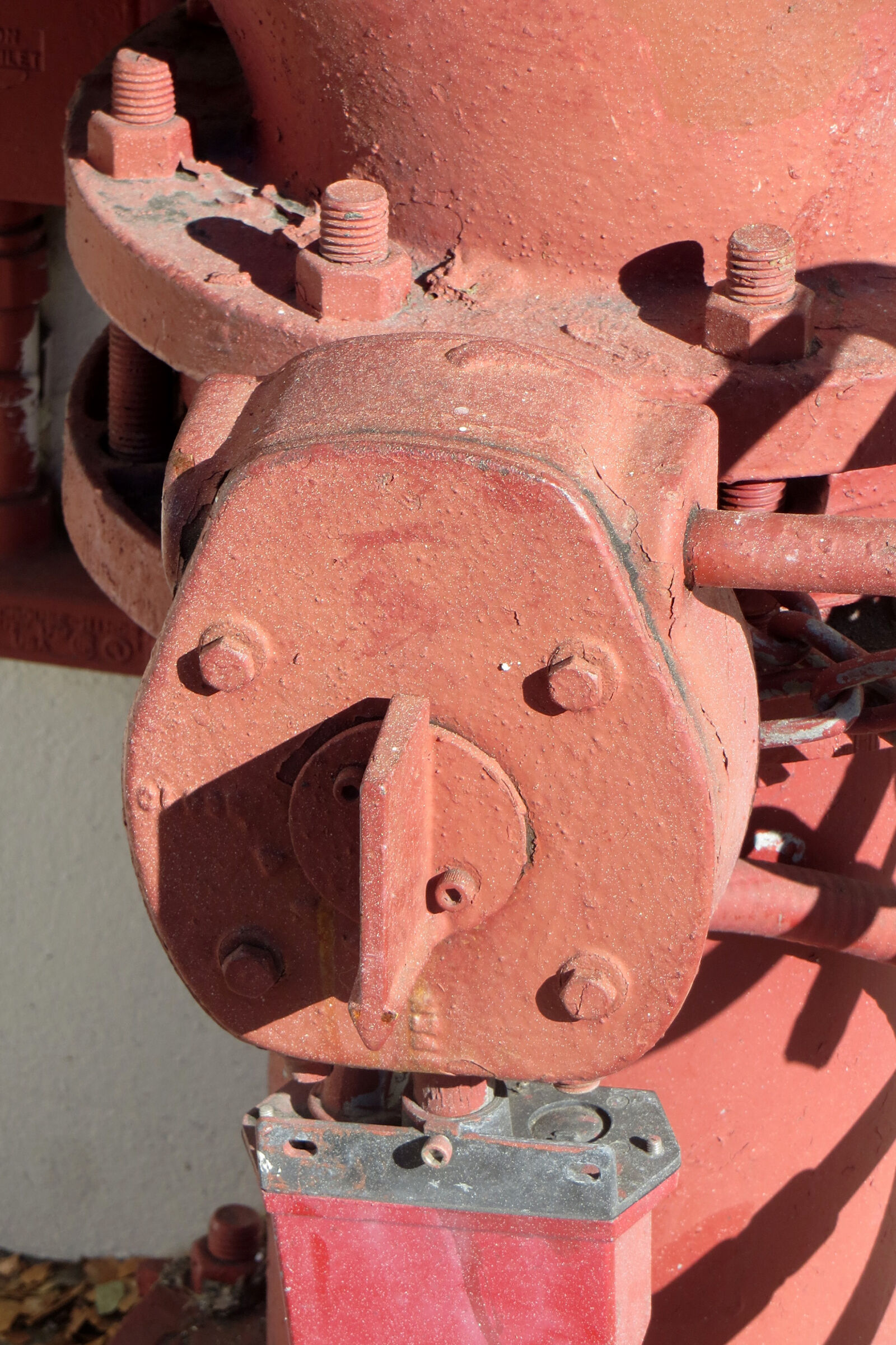 Canon PowerShot SX260 HS sample photo. Demon, devil, head, humor photography