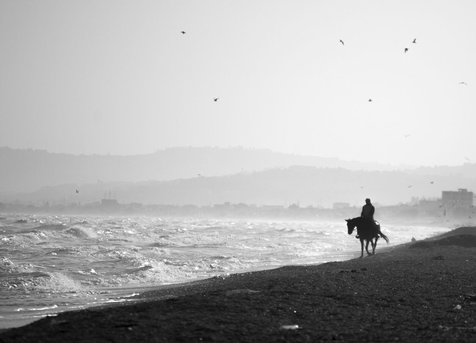 Nikon D60 sample photo. Horse, beach, white black photography