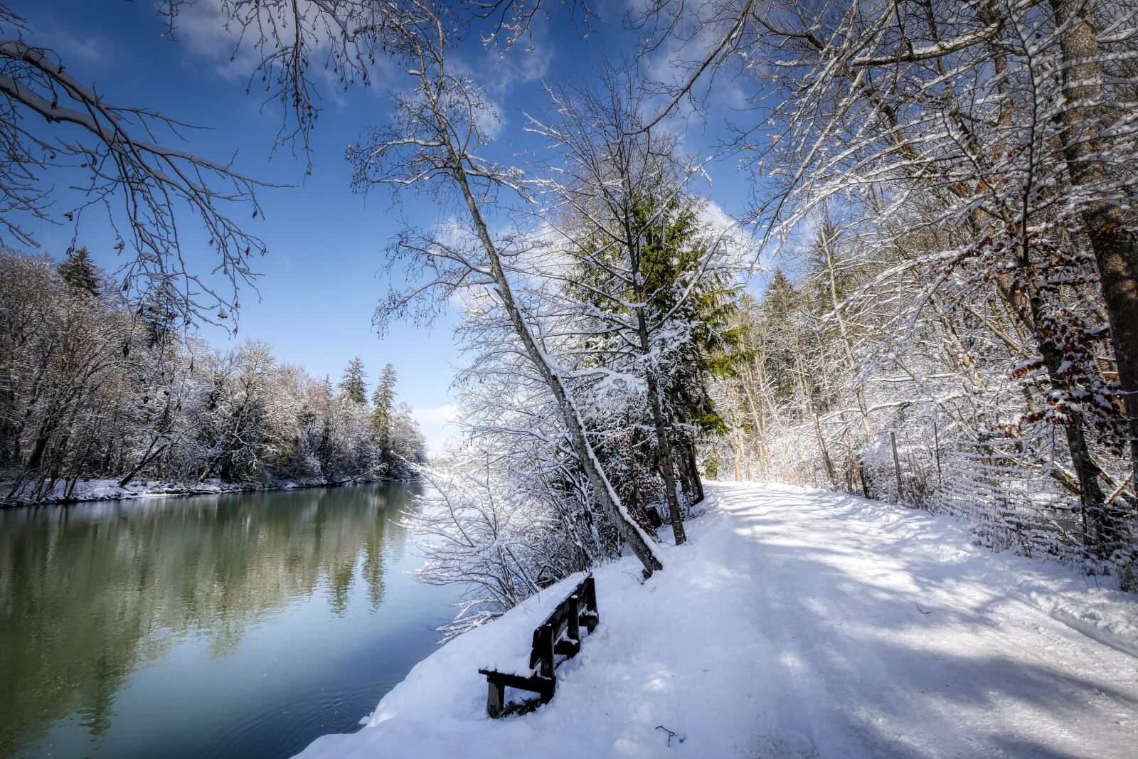 Panasonic Lumix DMC-GX8 sample photo. Winter, snow, nature photography