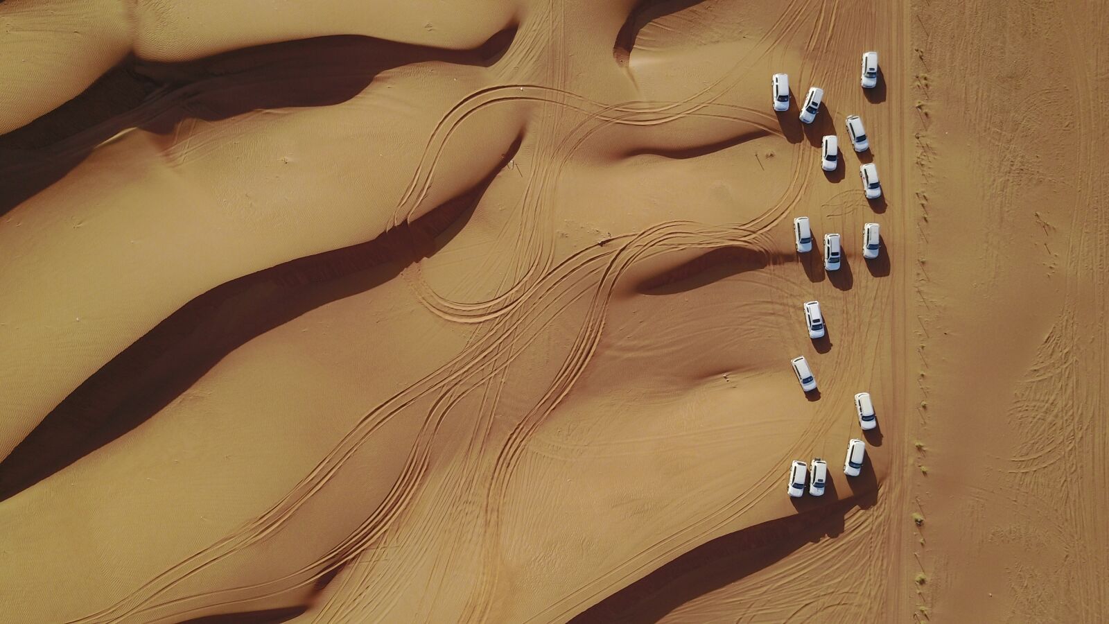 DJI FC220 sample photo. Team, safari, desert photography