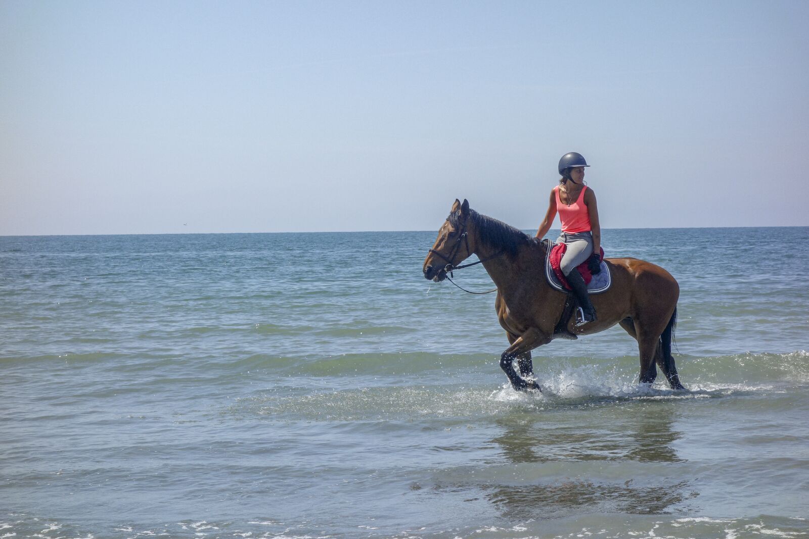 Sony Cyber-shot DSC-RX100 sample photo. Horse, beach, sea photography