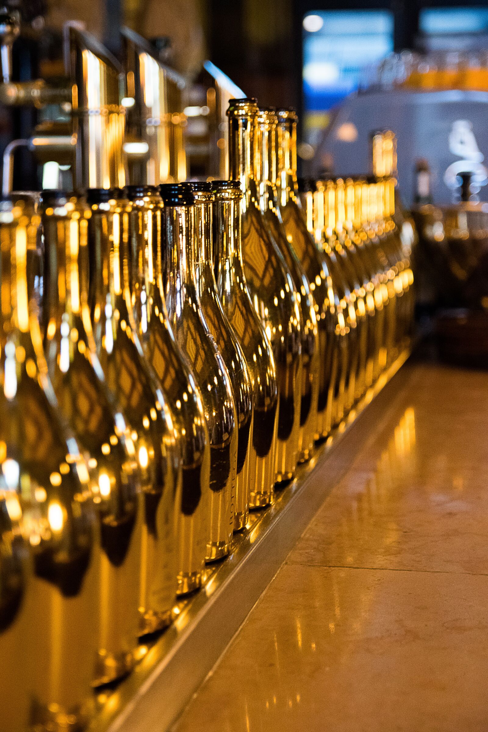 Nikon D3300 sample photo. Empty bottles, champagne bottles photography