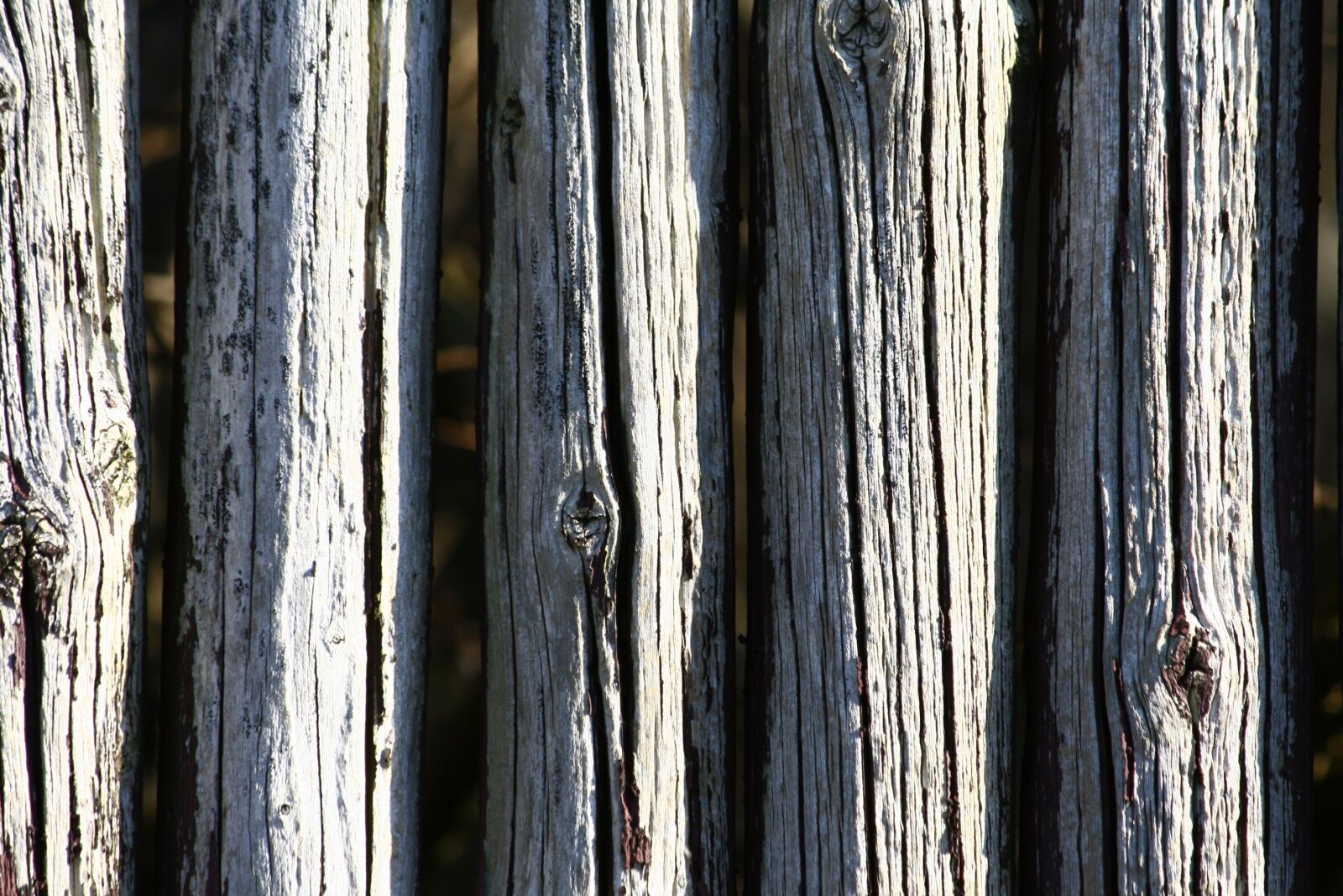 Canon EOS 400D (EOS Digital Rebel XTi / EOS Kiss Digital X) sample photo. Poles, wood, fence photography