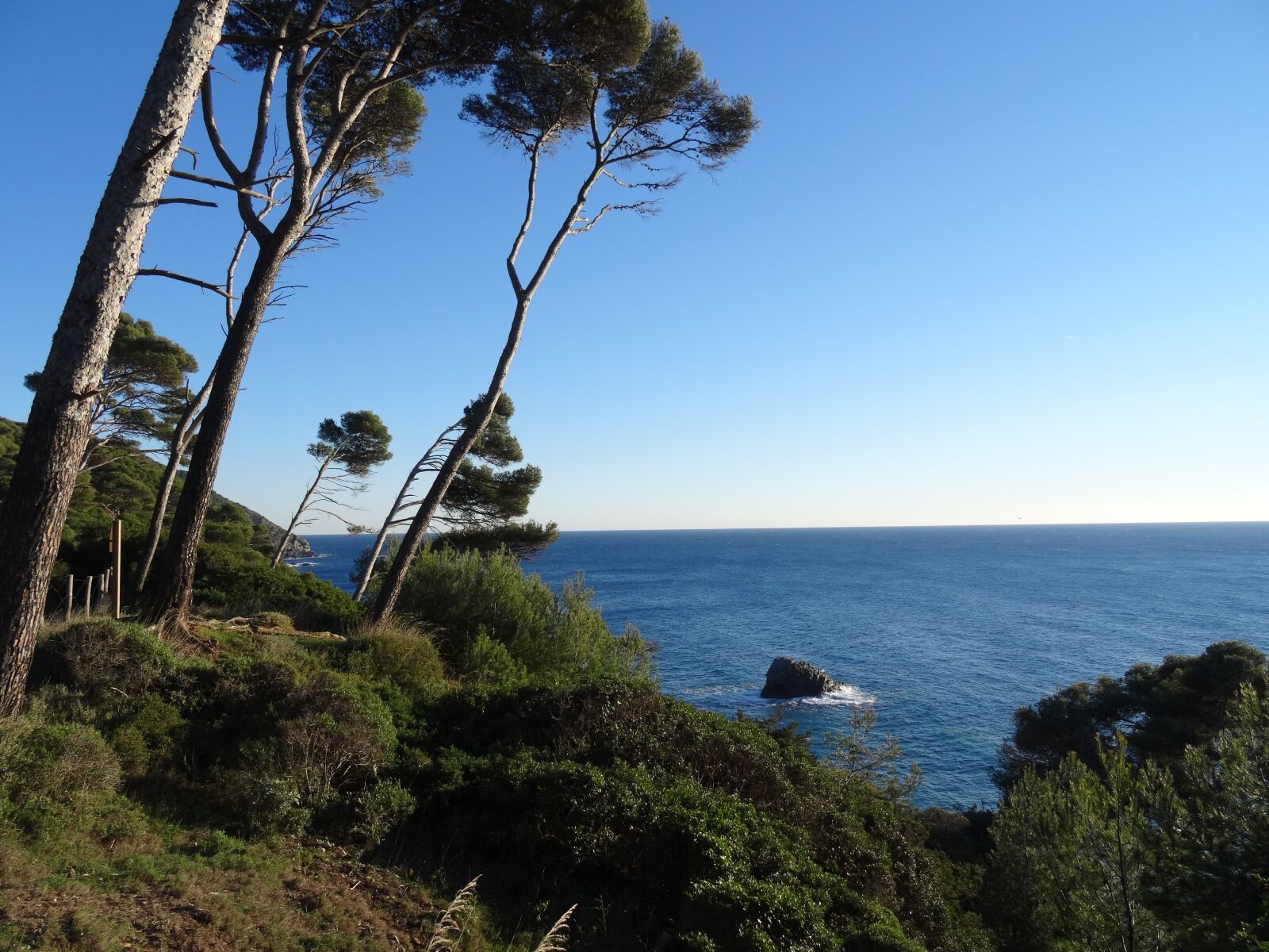 Sony DSC-HX50 sample photo. Sea, pine, landscape photography