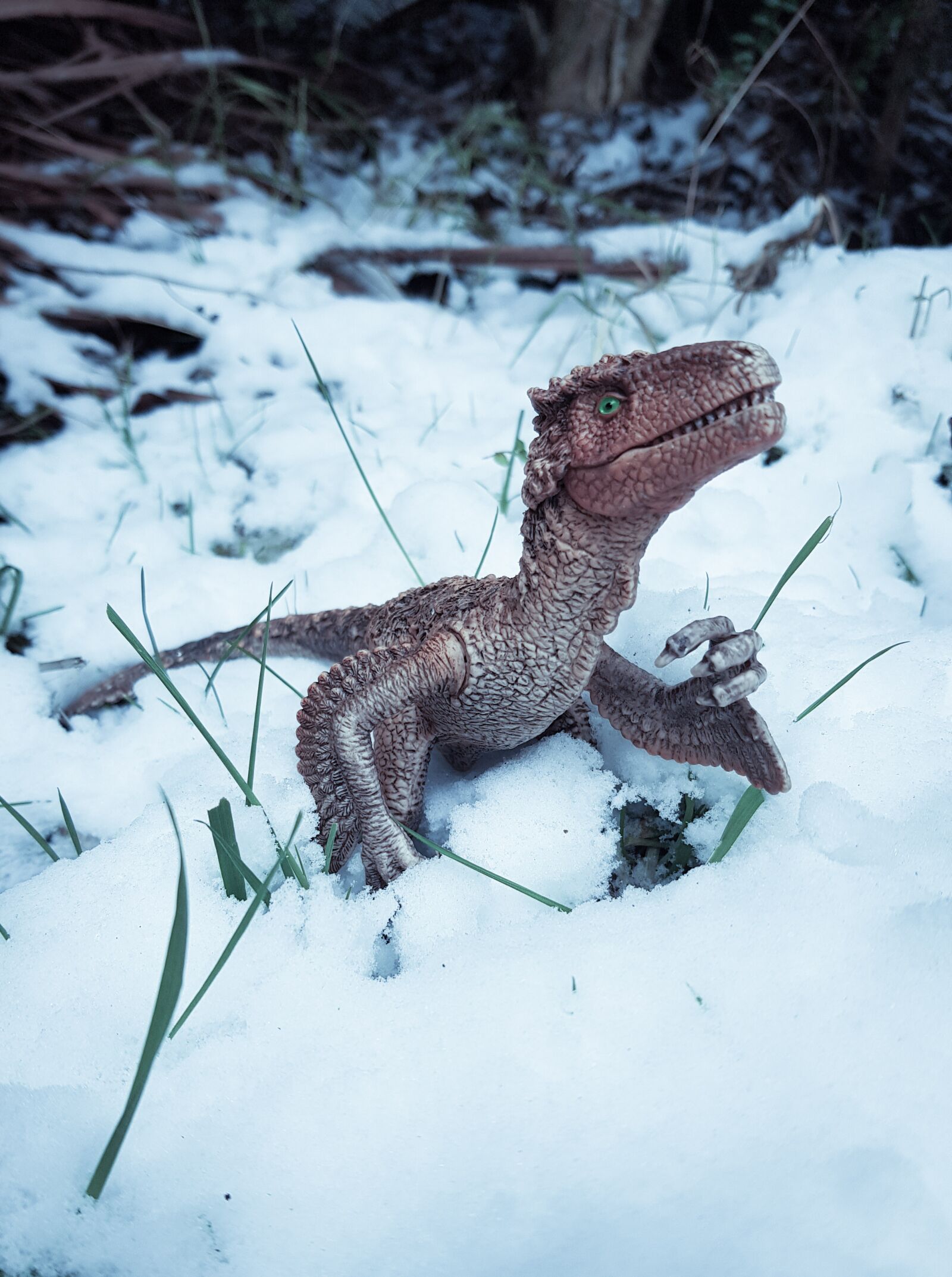 Samsung Galaxy S8 Rear Camera sample photo. Velociraptor, raptor, dinosaur photography