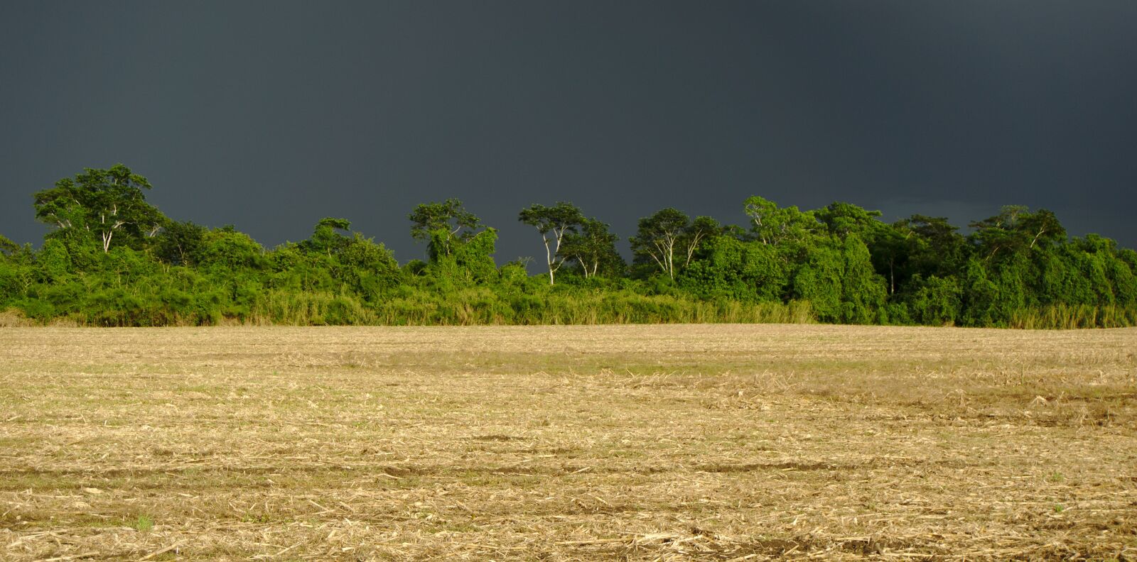 Sony E 16-50mm F3.5-5.6 PZ OSS sample photo. Field, crop, rural photography
