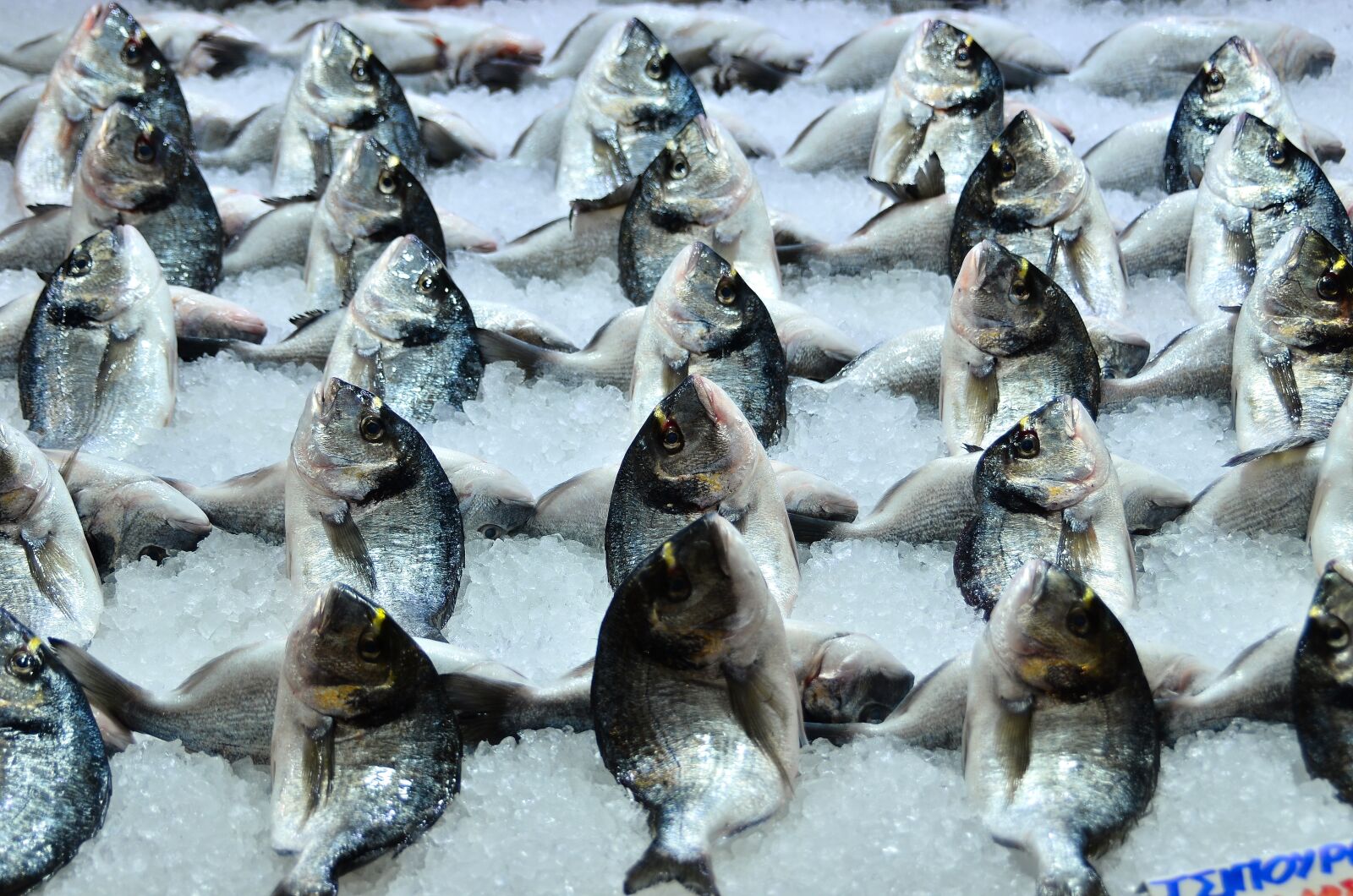 Nikon D7000 sample photo. Food, meat, fish photography