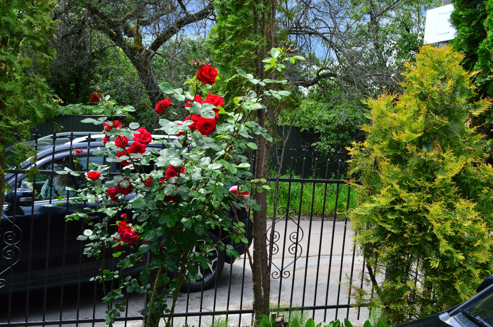 Nikon D3200 sample photo