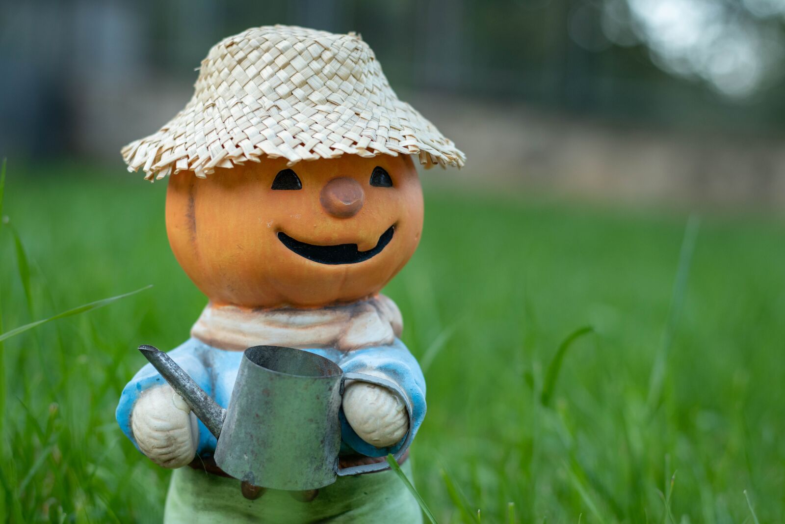 Nikon D5600 sample photo. Garden, dummy, farm photography