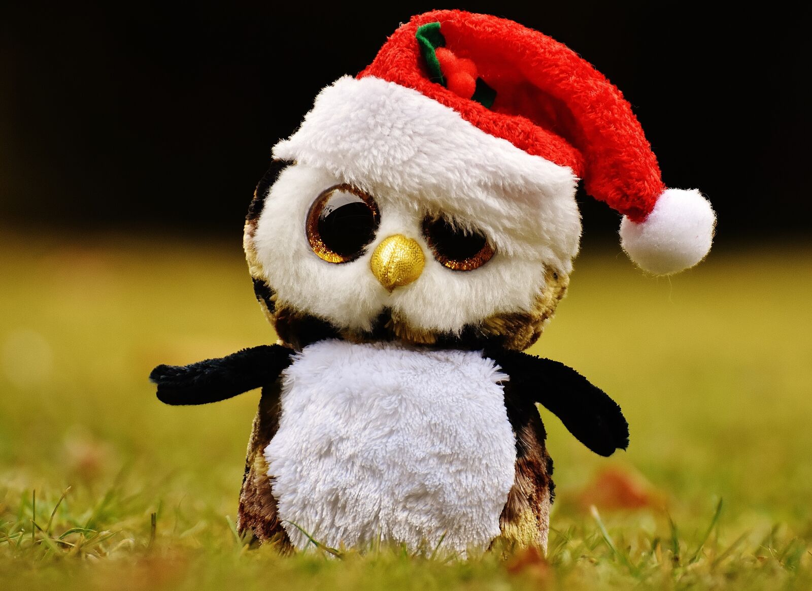 Nikon D7200 sample photo. Christmas, owl, stuffed animal photography