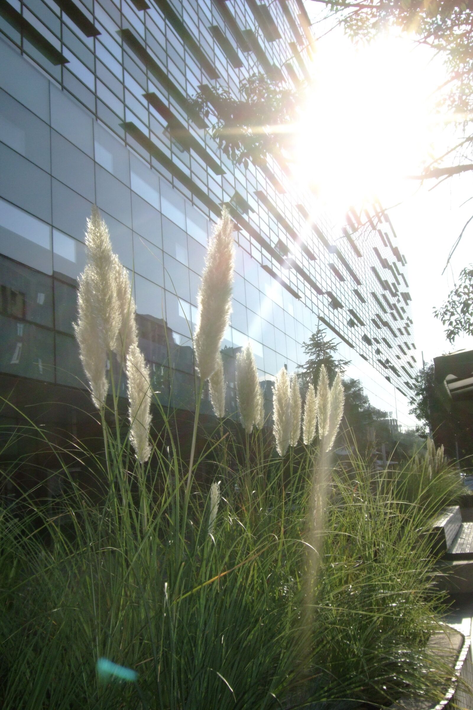 Fujifilm FinePix F50fd sample photo