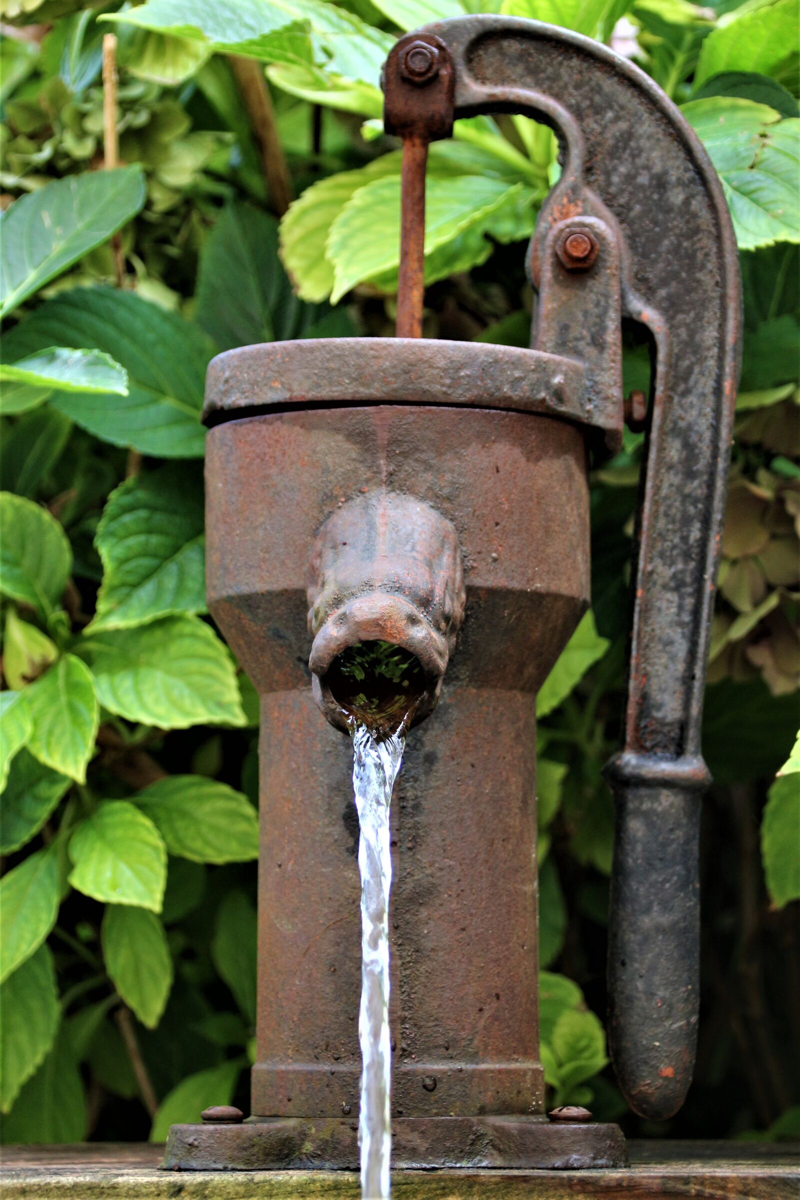 Canon EOS 700D (EOS Rebel T5i / EOS Kiss X7i) sample photo. Pump, old, water photography