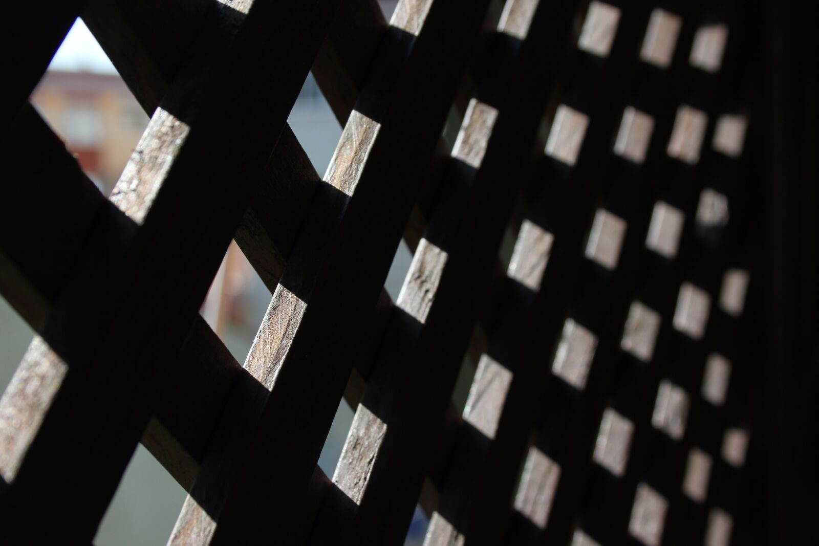 Canon EOS 550D (EOS Rebel T2i / EOS Kiss X4) sample photo. Texture, shadow, pattern photography