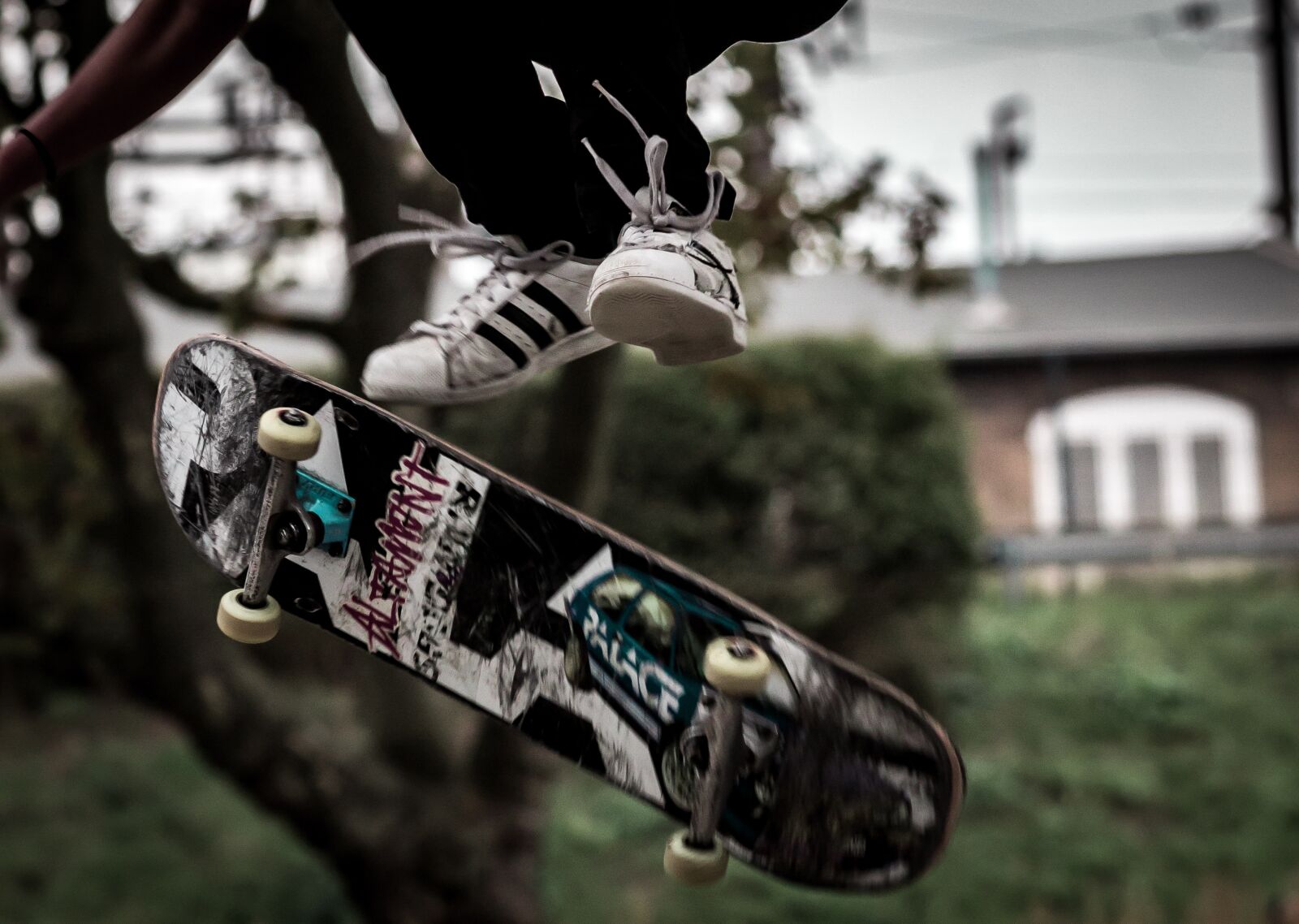 Canon EOS 600D (Rebel EOS T3i / EOS Kiss X5) sample photo. Skate, board, basketball photography