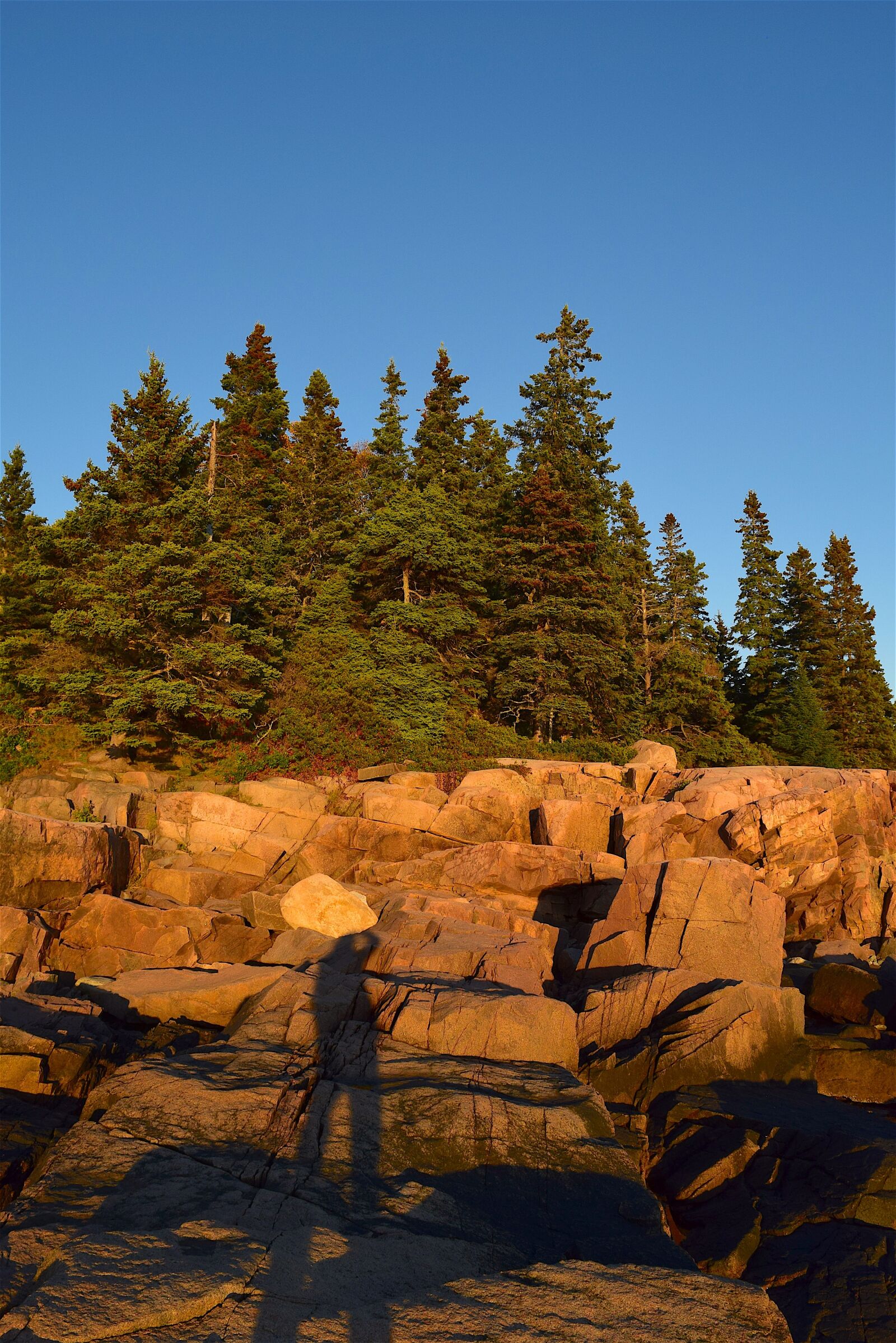 Nikon D3300 sample photo. Sunset, trees, rocks photography