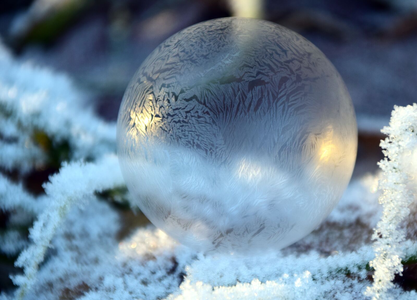 Nikon D3300 sample photo. Bubble, soap bubble, balls photography