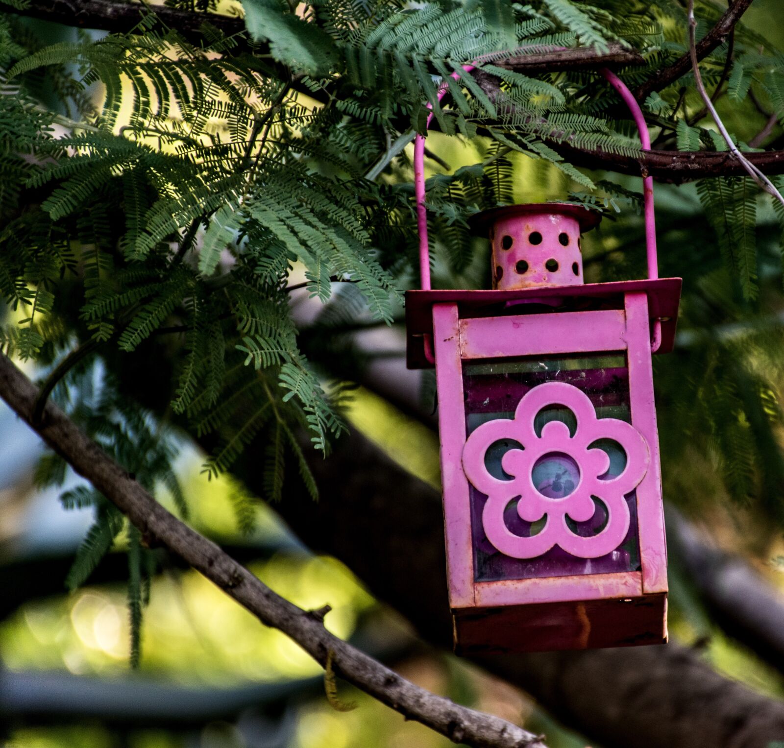 Nikon D5600 sample photo. Décor, lantern, outdoors photography