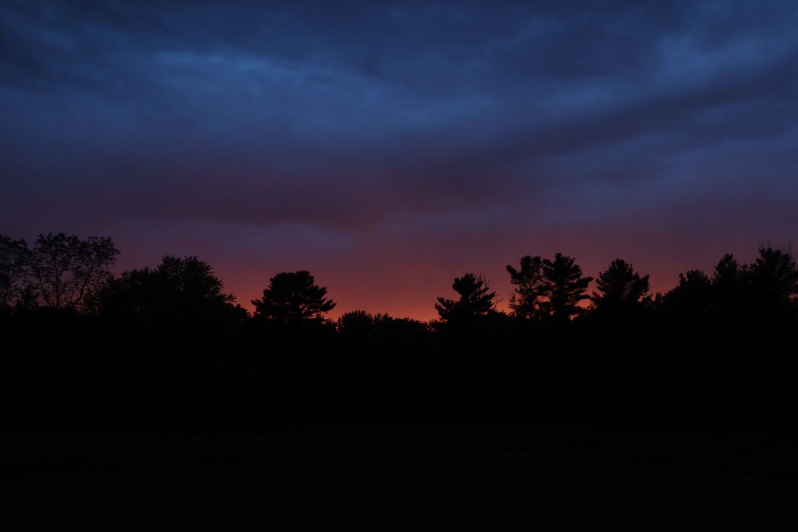 Canon EOS M50 (EOS Kiss M) sample photo. Sunset, pink, yellow photography
