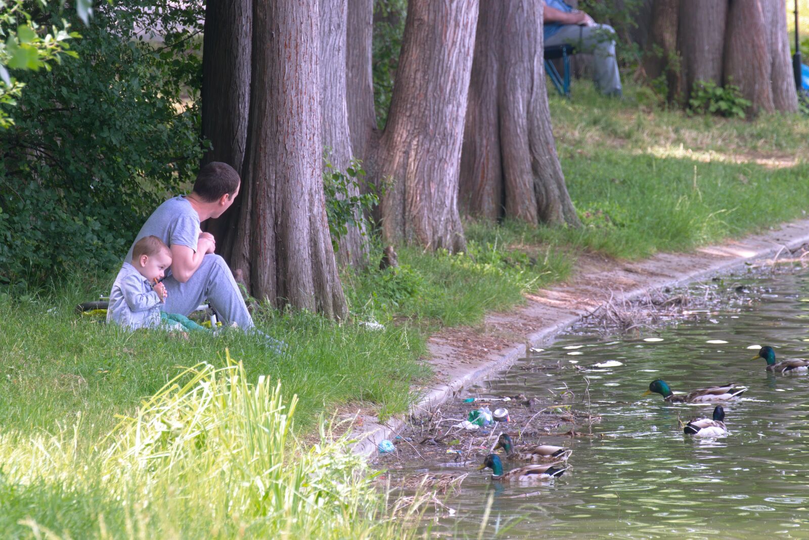 Nikon D5300 sample photo. People, man, while photography