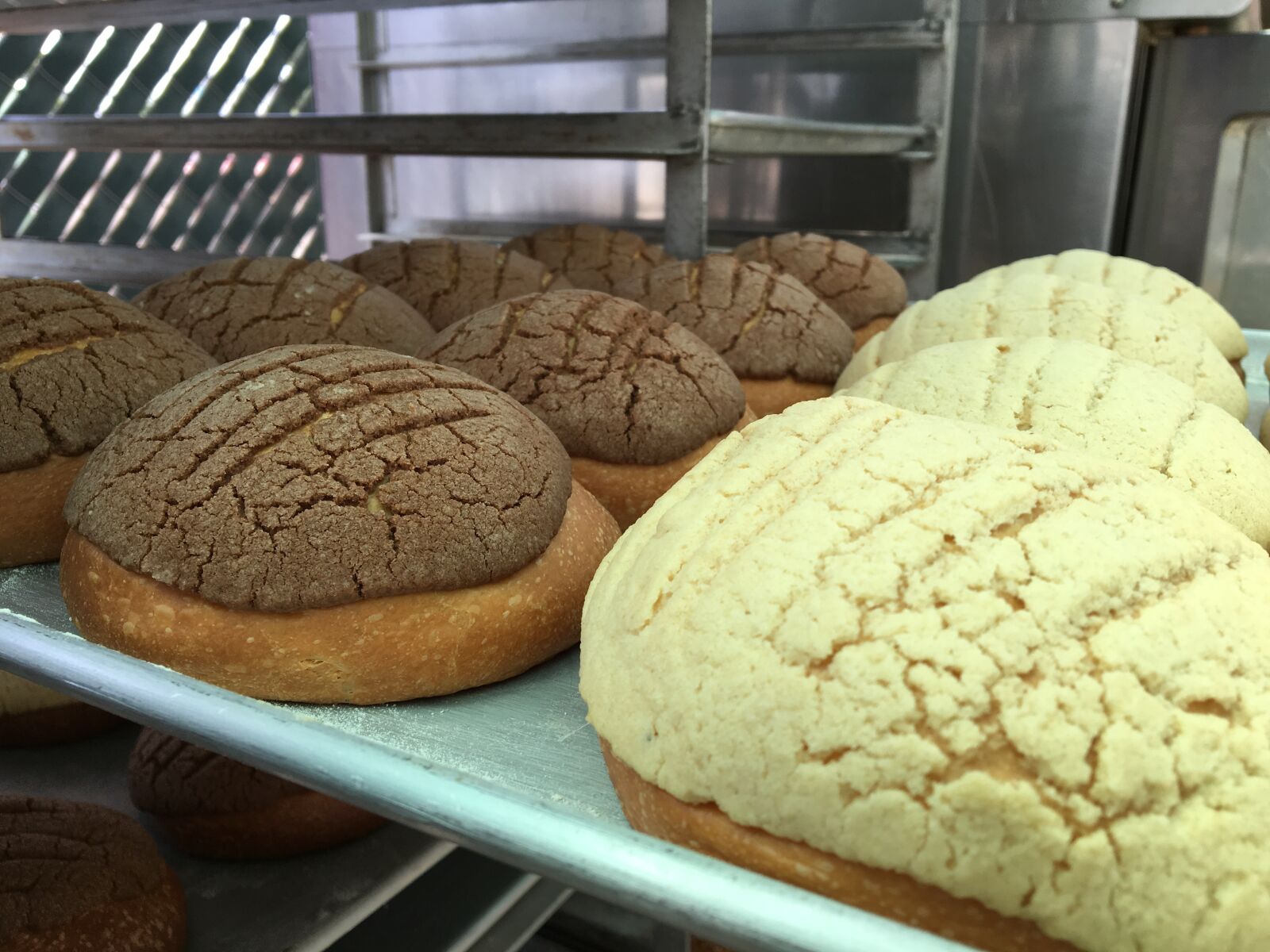 Apple iPhone 6s sample photo. Food, bread, artisan bread photography