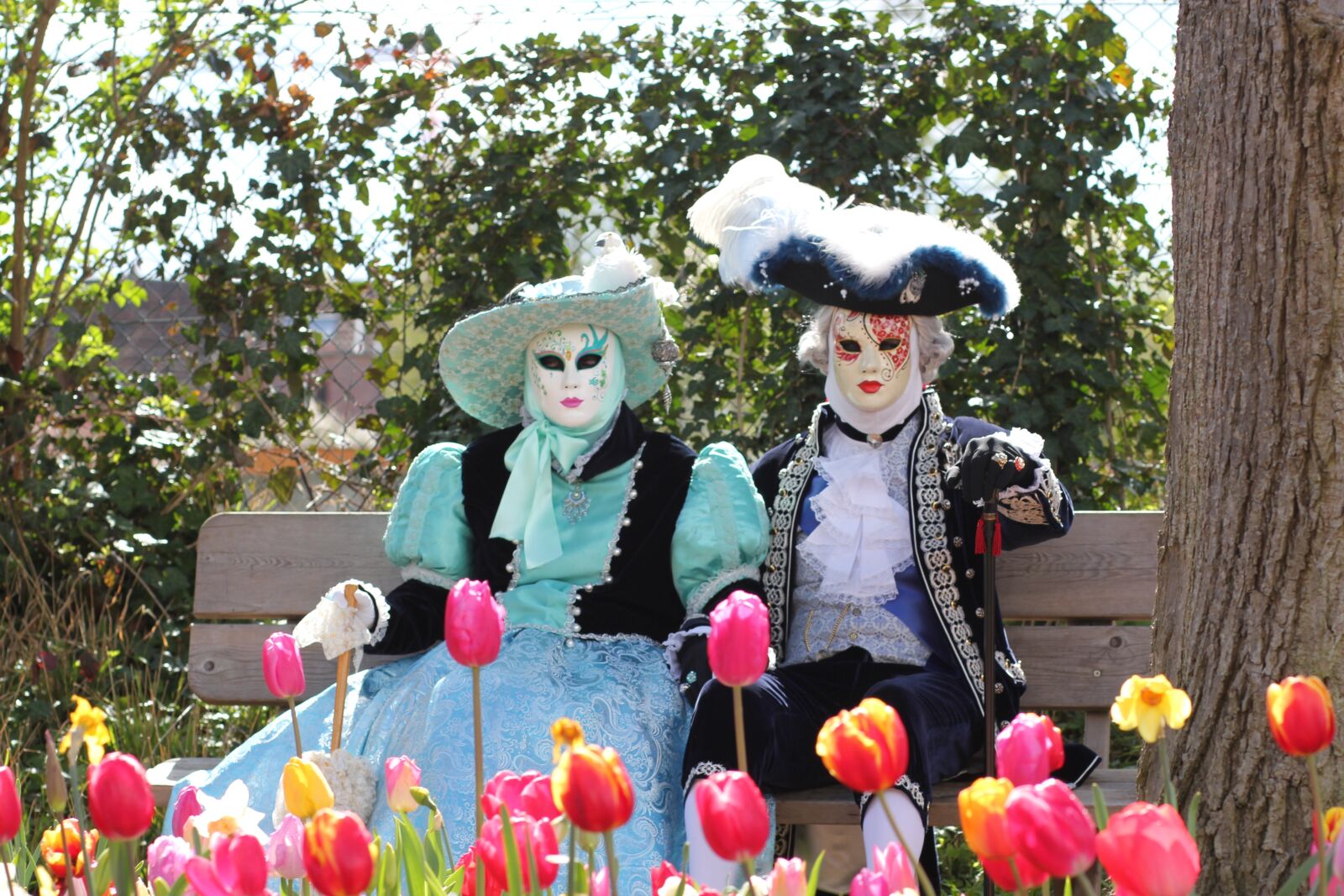 Canon EOS 550D (EOS Rebel T2i / EOS Kiss X4) sample photo. Venetian, costume, tulip photography