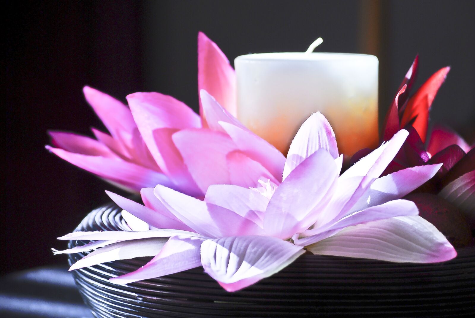 Nikon D200 sample photo. Candle, flower, petals photography