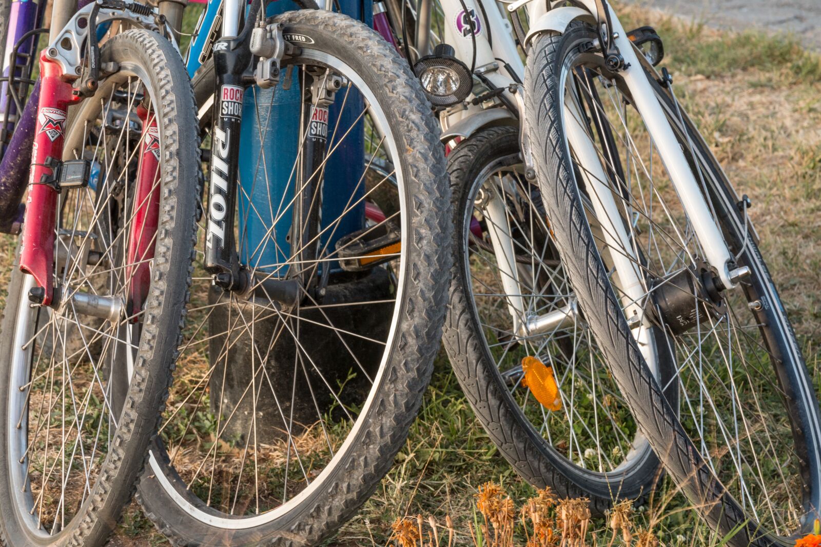 Canon EOS 70D + Canon EF 24-105mm F4L IS USM sample photo. Bike wheels, four, bike photography