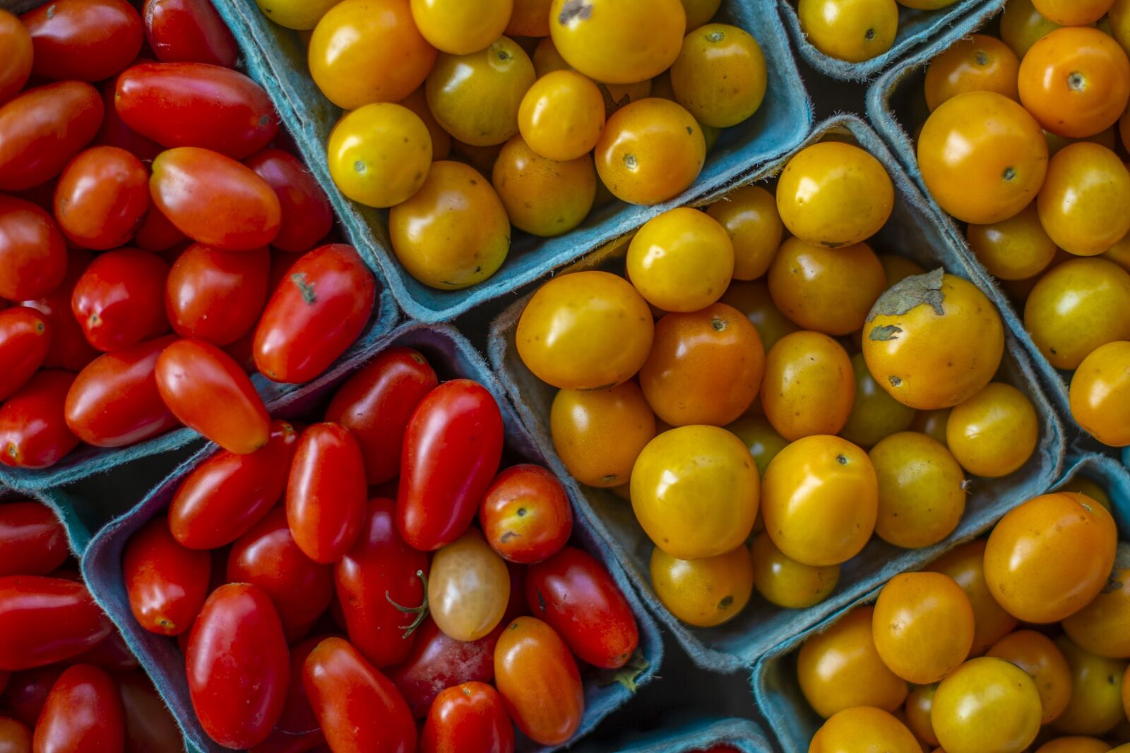 Nikon D4 sample photo. Tomatoes, fresh, vegetables photography