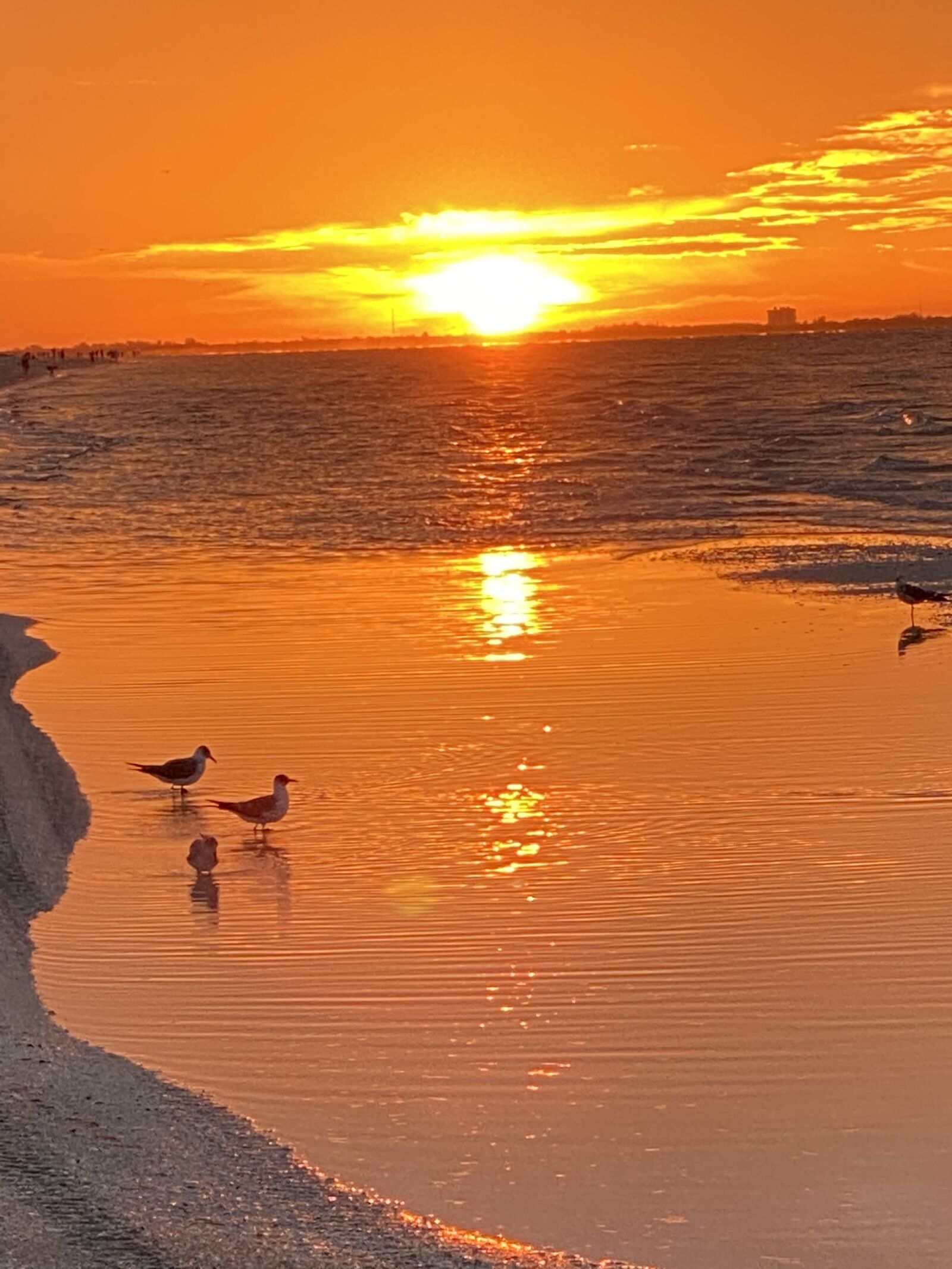 Apple iPhone 11 Pro sample photo. Sunset, ocean, sea photography