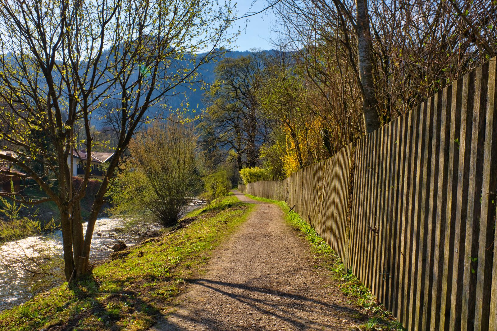 Nikon D7100 sample photo. Spring, away, path photography