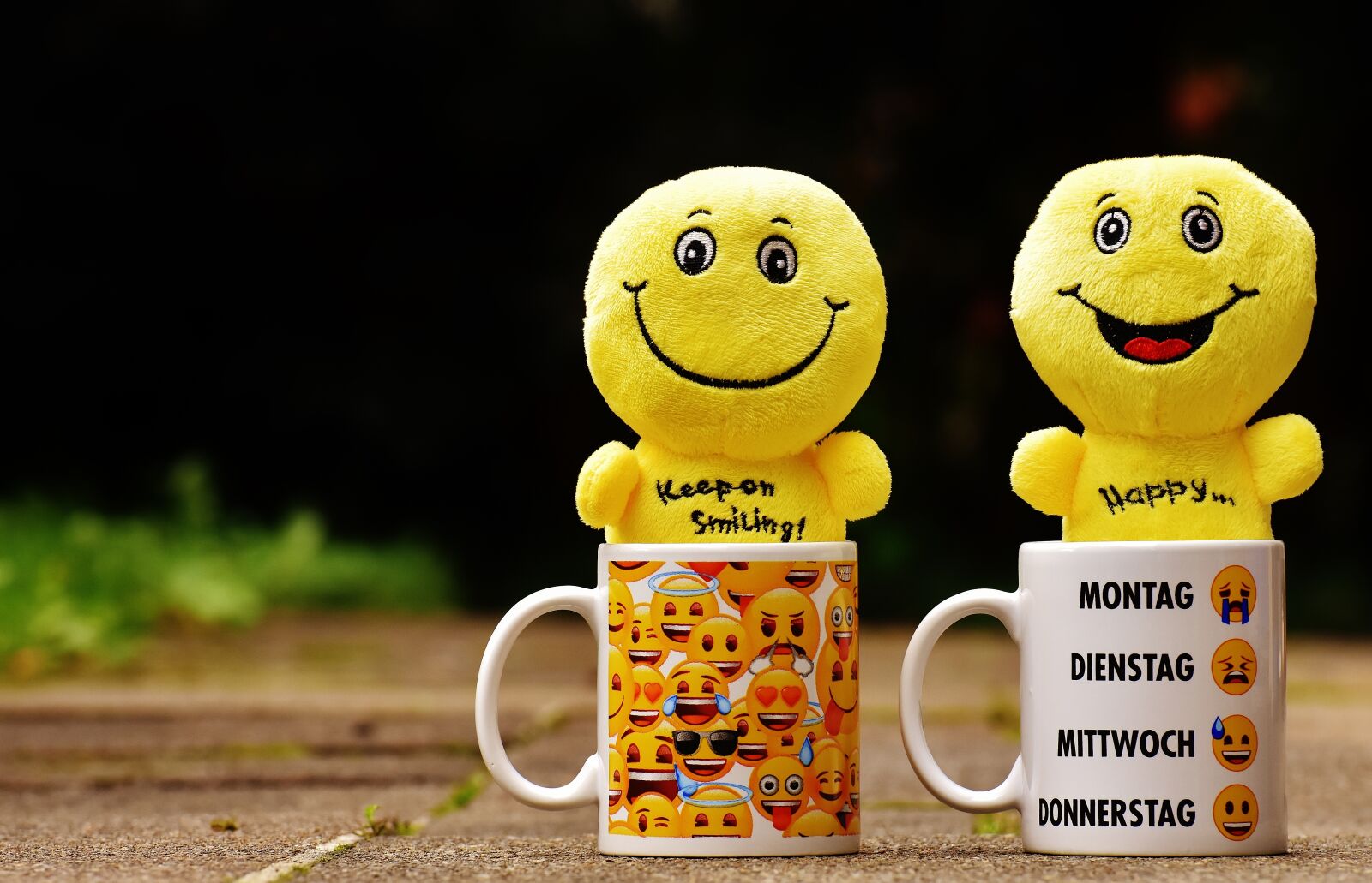 Nikon D7200 sample photo. Smilies, t, yellow photography