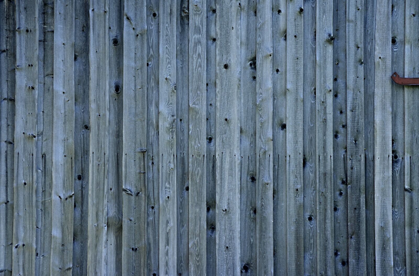 Nikon D3200 sample photo. Texture, wood grain, boards photography