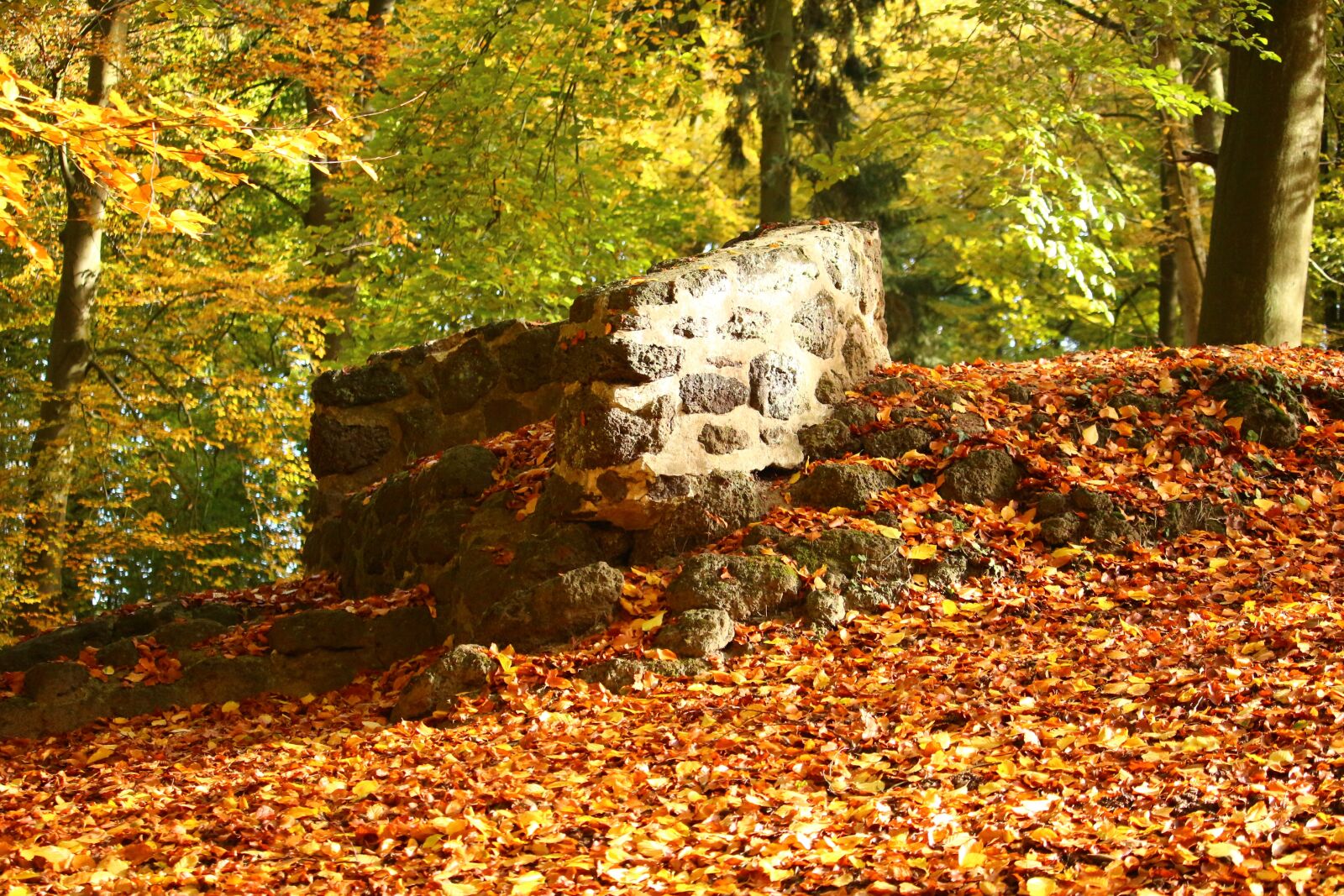 Canon EOS 100D (EOS Rebel SL1 / EOS Kiss X7) sample photo. Ruin, stone wall, autumn photography