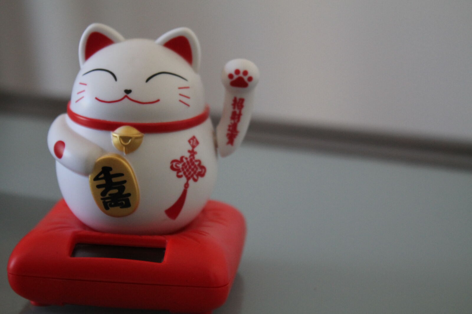 Canon EOS 1100D (EOS Rebel T3 / EOS Kiss X50) sample photo. Cat, japan, japanese, japanese photography
